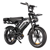 Electric Bicycles