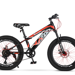 Mountain bikes
