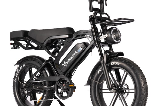 Everything You Need to Know About the Fatbike V20 Pro: Your All-Rounder for Every Season