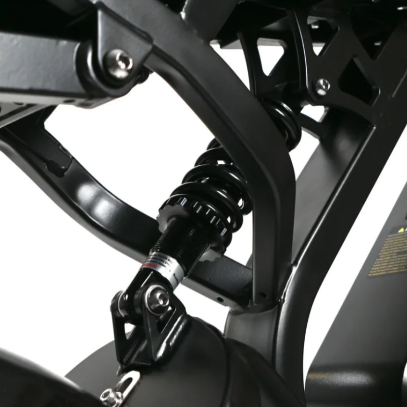 V20 Pro 80km Range & Hydraulic Brakes
