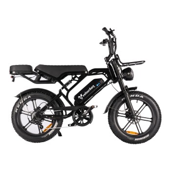 V20 Pro 80km Range & Hydraulic Brakes