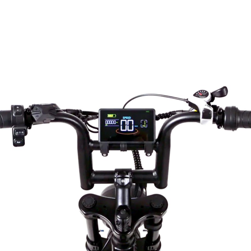 V20 Pro 80km Range & Hydraulic Brakes