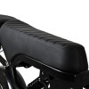 V20 Pro 80km Range & Hydraulic Brakes